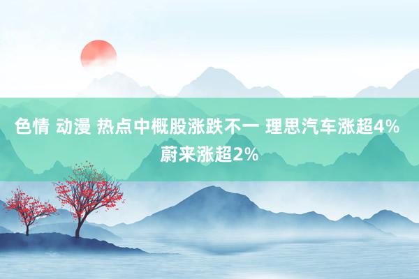 色情 动漫 热点中概股涨跌不一 理思汽车涨超4% 蔚来涨超2%