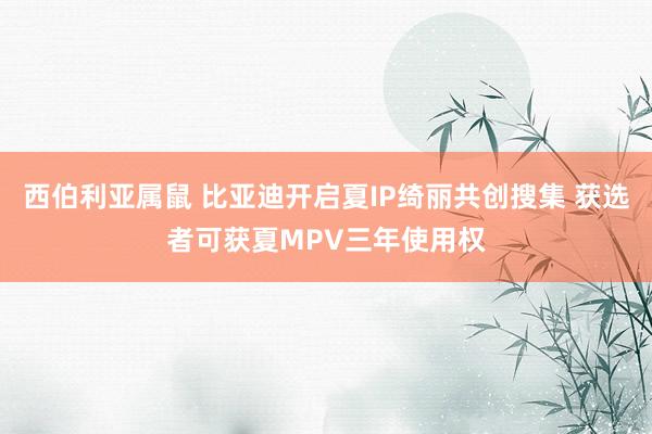 西伯利亚属鼠 比亚迪开启夏IP绮丽共创搜集 获选者可获夏MPV三年使用权