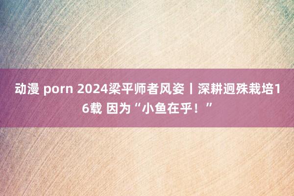 动漫 porn 2024梁平师者风姿丨深耕迥殊栽培16载 因为“小鱼在乎！”