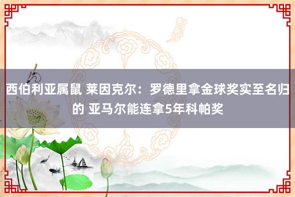 西伯利亚属鼠 莱因克尔：罗德里拿金球奖实至名归的 亚马尔能连拿5年科帕奖