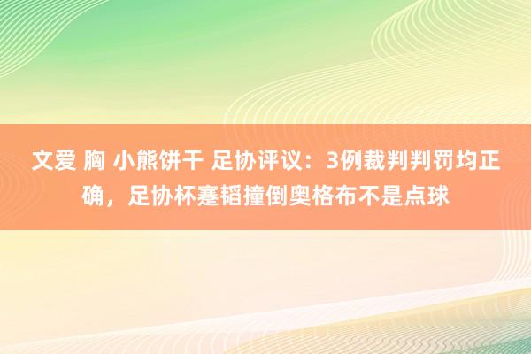 文爱 胸 小熊饼干 足协评议：3例裁判判罚均正确，足协杯蹇韬撞倒奥格布不是点球