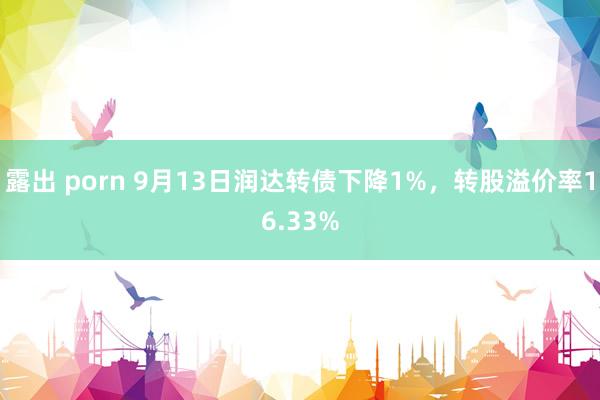 露出 porn 9月13日润达转债下降1%，转股溢价率16.33%