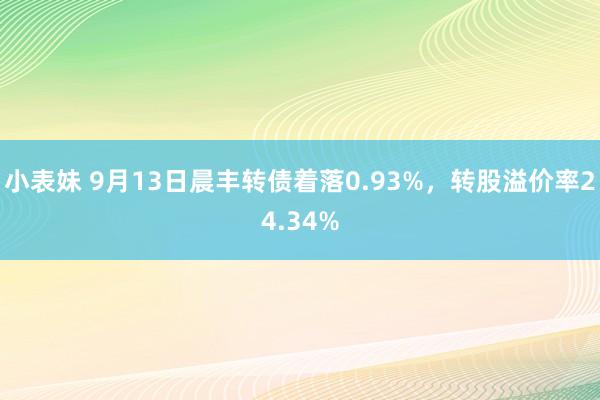 小表妹 9月13日晨丰转债着落0.93%，转股溢价率24.34%