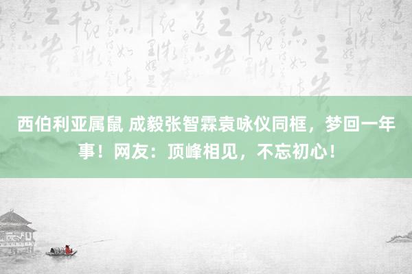 西伯利亚属鼠 成毅张智霖袁咏仪同框，梦回一年事！网友：顶峰相见，不忘初心！