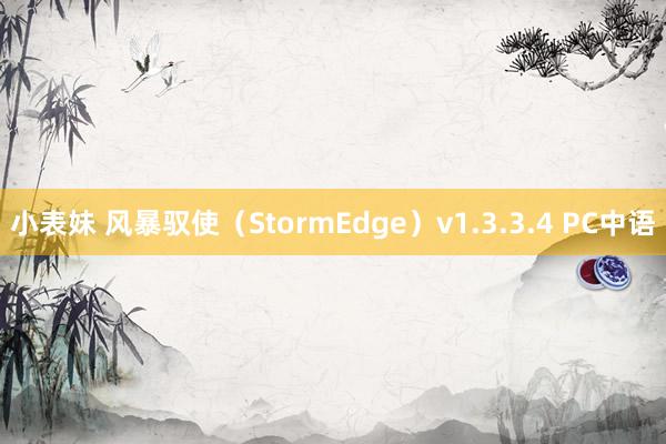 小表妹 风暴驭使（StormEdge）v1.3.3.4 PC中语