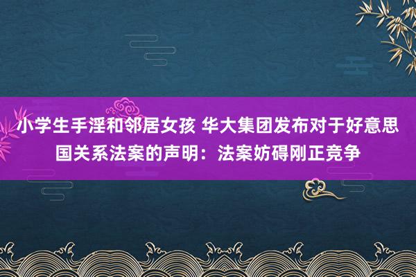 小学生手淫和邻居女孩 华大集团发布对于好意思国关系法案的声明：法案妨碍刚正竞争