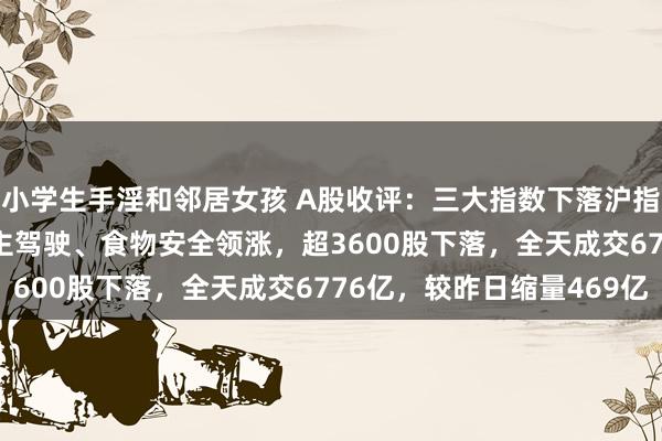 小学生手淫和邻居女孩 A股收评：三大指数下落沪指跌0.68%！无东说念主驾驶、食物安全领涨，超3600股下落，全天成交6776亿，较昨日缩量469亿