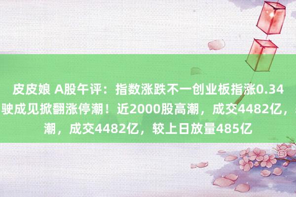 皮皮娘 A股午评：指数涨跌不一创业板指涨0.34%，无东说念主驾驶成见掀翻涨停潮！近2000股高潮，成交4482亿，较上日放量485亿