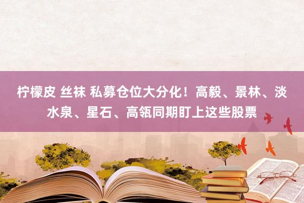 柠檬皮 丝袜 私募仓位大分化！高毅、景林、淡水泉、星石、高瓴同期盯上这些股票