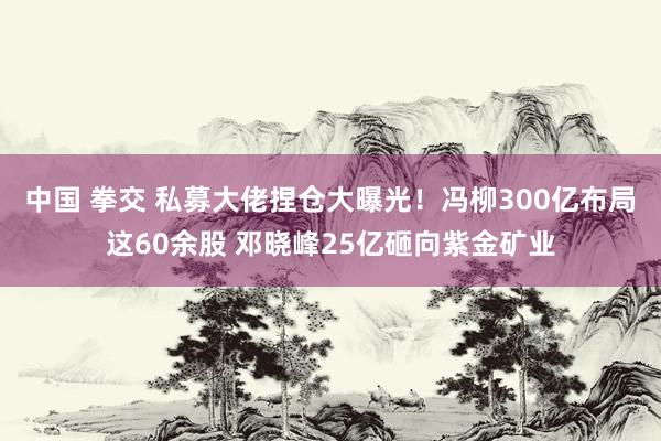 中国 拳交 私募大佬捏仓大曝光！冯柳300亿布局这60余股 邓晓峰25亿砸向紫金矿业