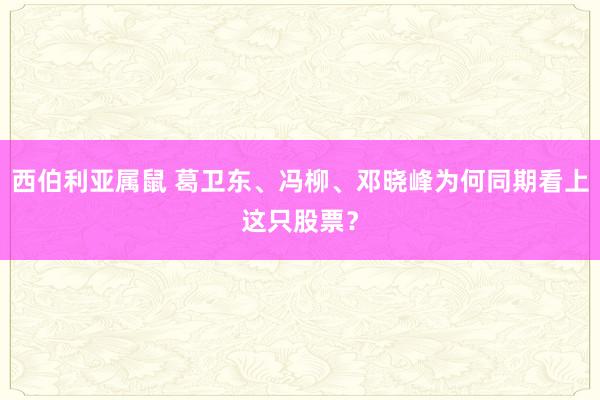 西伯利亚属鼠 葛卫东、冯柳、邓晓峰为何同期看上这只股票？