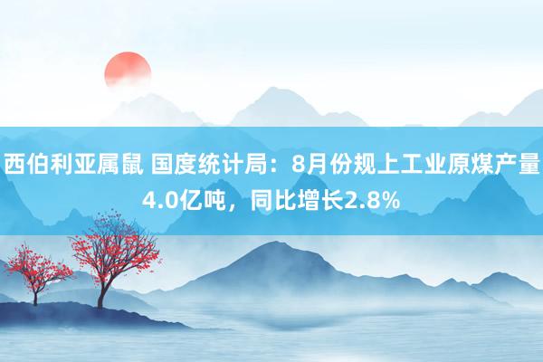 西伯利亚属鼠 国度统计局：8月份规上工业原煤产量4.0亿吨，同比增长2.8%