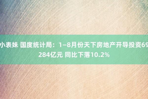 小表妹 国度统计局：1—8月份天下房地产开导投资69284亿元 同比下落10.2%