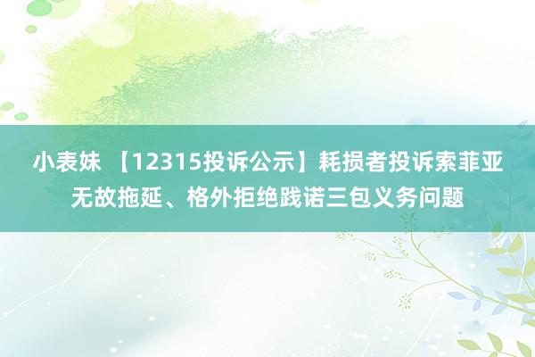 小表妹 【12315投诉公示】耗损者投诉索菲亚无故拖延、格外拒绝践诺三包义务问题