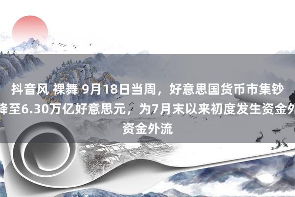 抖音风 裸舞 9月18日当周，好意思国货币市集钞票降至6.30万亿好意思元，为7月末以来初度发生资金外流