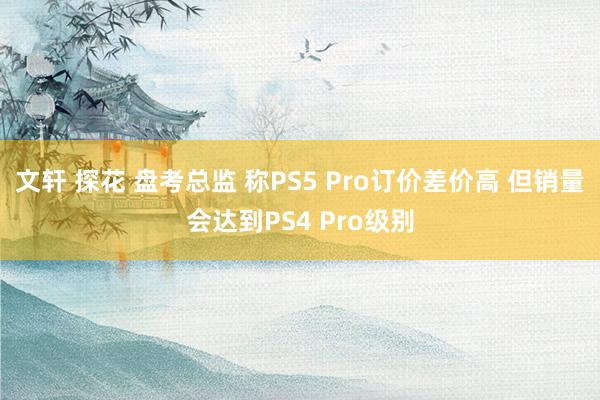 文轩 探花 盘考总监 称PS5 Pro订价差价高 但销量会达到PS4 Pro级别