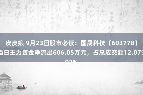 皮皮娘 9月23日股市必读：国晟科技（603778）当日主力资金净流出606.05万元，占总成交额12.07%