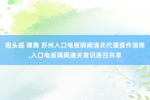 抱头摇 裸舞 苏州入口电板隔阂清关代理操作指南，入口电板隔阂通关常识逐日共享