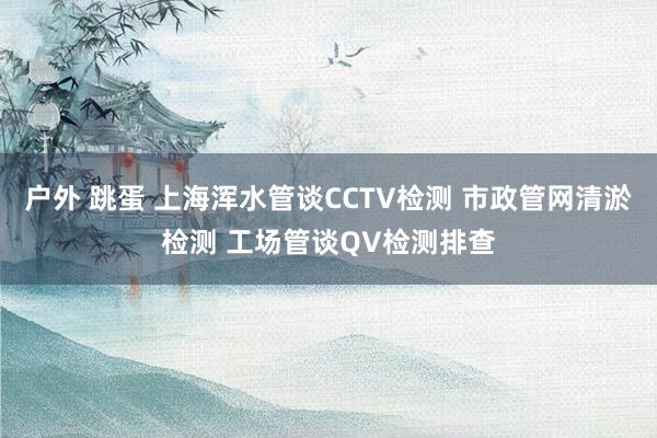 户外 跳蛋 上海浑水管谈CCTV检测 市政管网清淤检测 工场管谈QV检测排查