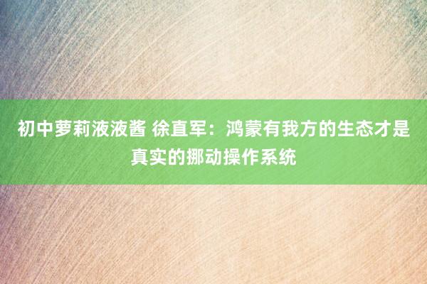 初中萝莉液液酱 徐直军：鸿蒙有我方的生态才是真实的挪动操作系统