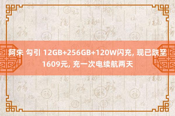 阿朱 勾引 12GB+256GB+120W闪充， 现已跌至1609元， 充一次电续航两天