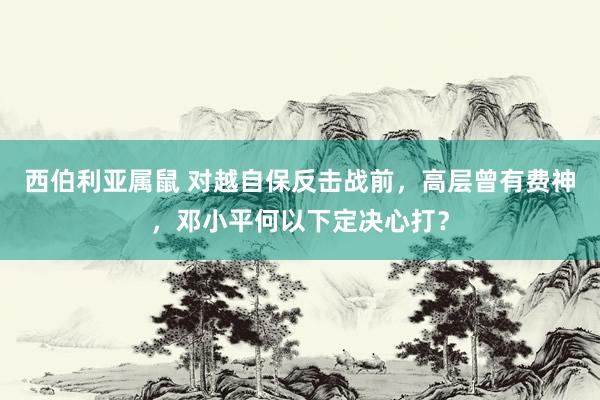 西伯利亚属鼠 对越自保反击战前，高层曾有费神，邓小平何以下定决心打？