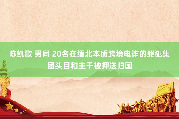 陈凯歌 男同 20名在缅北本质跨境电诈的罪犯集团头目和主干被押送归国