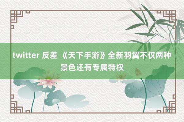 twitter 反差 《天下手游》全新羽翼不仅两种景色还有专属特权