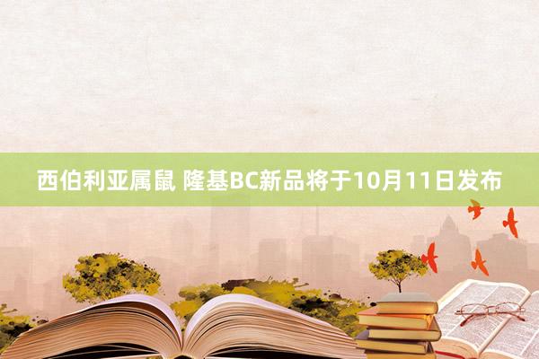 西伯利亚属鼠 隆基BC新品将于10月11日发布