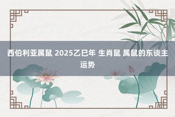 西伯利亚属鼠 2025乙巳年 生肖鼠 属鼠的东谈主运势