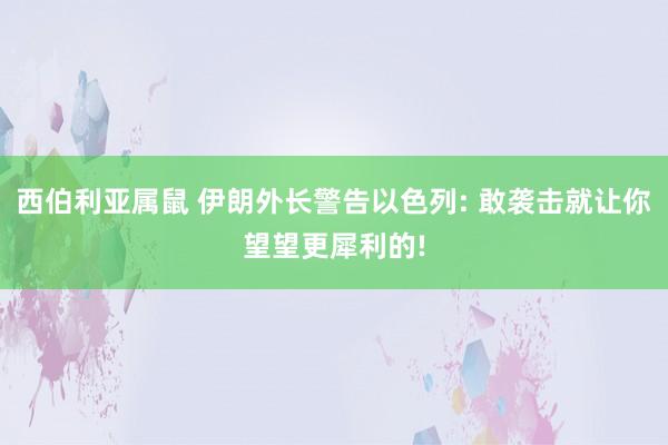 西伯利亚属鼠 伊朗外长警告以色列: 敢袭击就让你望望更犀利的!