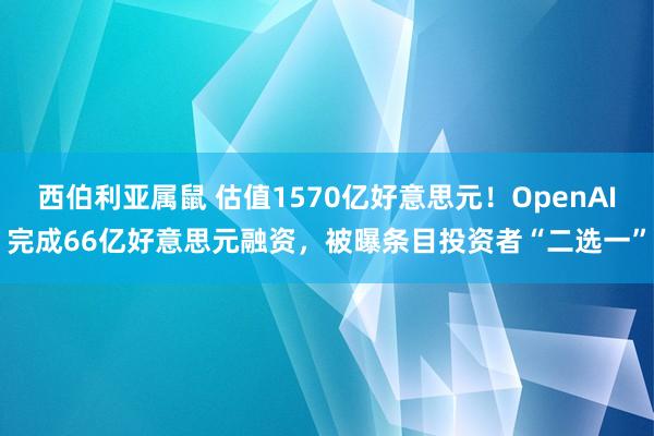 西伯利亚属鼠 估值1570亿好意思元！OpenAI完成66亿好意思元融资，被曝条目投资者“二选一”