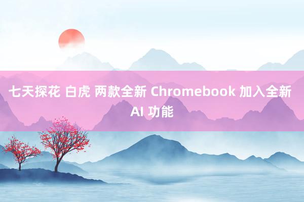 七天探花 白虎 两款全新 Chromebook 加入全新 AI 功能