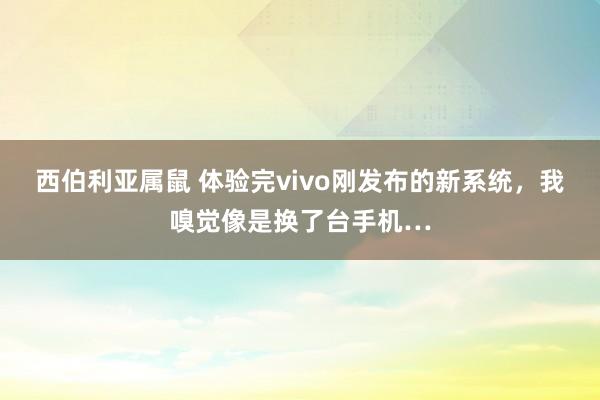 西伯利亚属鼠 体验完vivo刚发布的新系统，我嗅觉像是换了台手机…