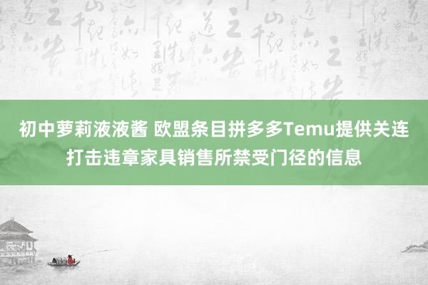 初中萝莉液液酱 欧盟条目拼多多Temu提供关连打击违章家具销售所禁受门径的信息