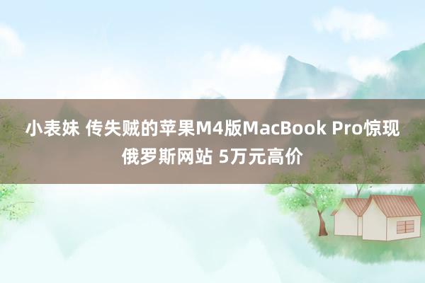 小表妹 传失贼的苹果M4版MacBook Pro惊现俄罗斯网站 5万元高价