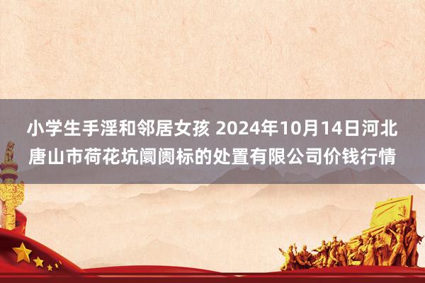 小学生手淫和邻居女孩 2024年10月14日河北唐山市荷花坑阛阓标的处置有限公司价钱行情