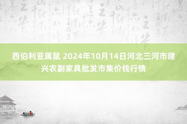 西伯利亚属鼠 2024年10月14日河北三河市建兴农副家具批发市集价钱行情