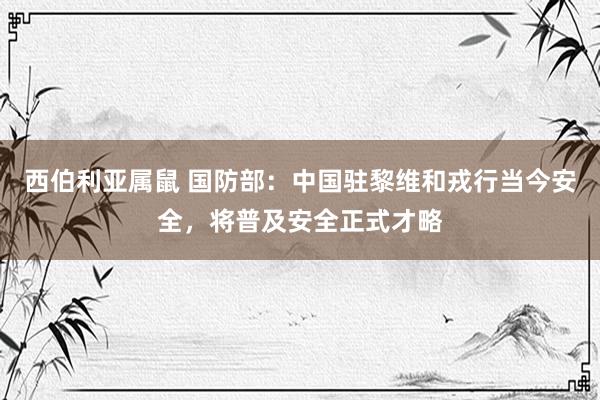 西伯利亚属鼠 国防部：中国驻黎维和戎行当今安全，将普及安全正式才略