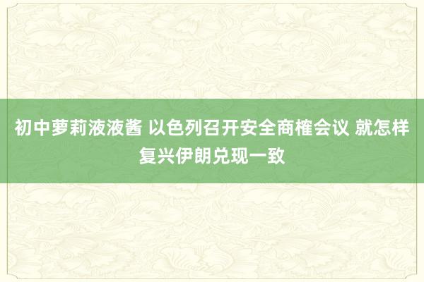 初中萝莉液液酱 以色列召开安全商榷会议 就怎样复兴伊朗兑现一致