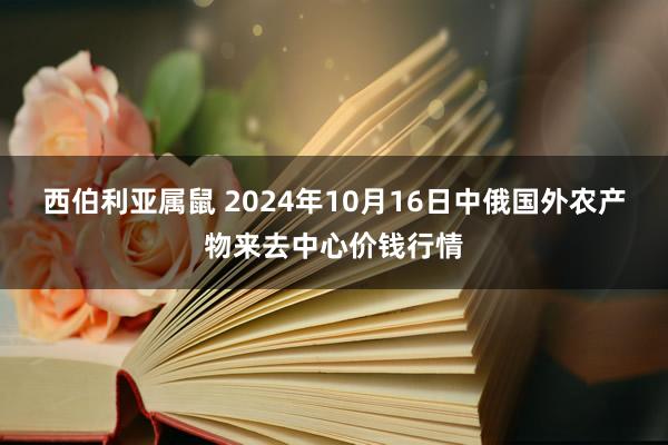 西伯利亚属鼠 2024年10月16日中俄国外农产物来去中心价钱行情