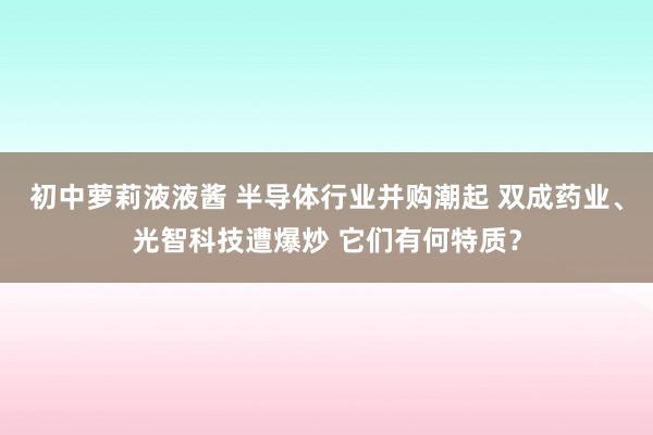 初中萝莉液液酱 半导体行业并购潮起 双成药业、光智科技遭爆炒 它们有何特质？