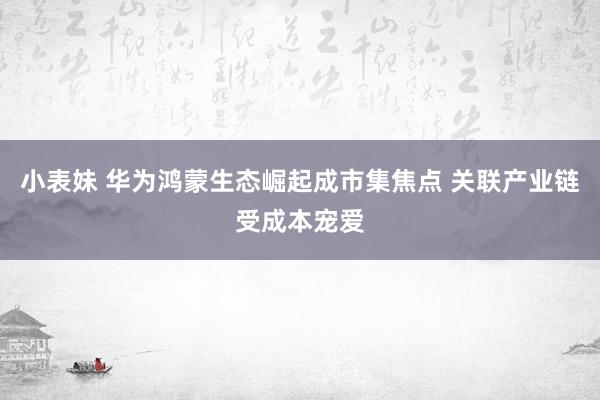 小表妹 华为鸿蒙生态崛起成市集焦点 关联产业链受成本宠爱