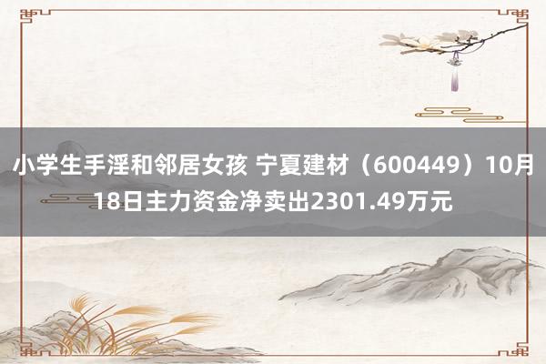 小学生手淫和邻居女孩 宁夏建材（600449）10月18日主力资金净卖出2301.49万元