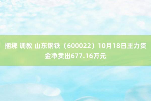 捆绑 调教 山东钢铁（600022）10月18日主力资金净卖出677.16万元