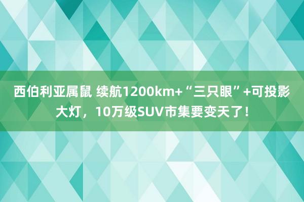 西伯利亚属鼠 续航1200km+“三只眼”+可投影大灯，10万级SUV市集要变天了！