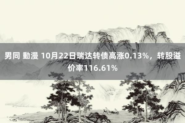 男同 動漫 10月22日瑞达转债高涨0.13%，转股溢价率116.61%