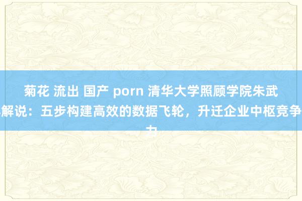 菊花 流出 国产 porn 清华大学照顾学院朱武祥解说：五步构建高效的数据飞轮，升迁企业中枢竞争力