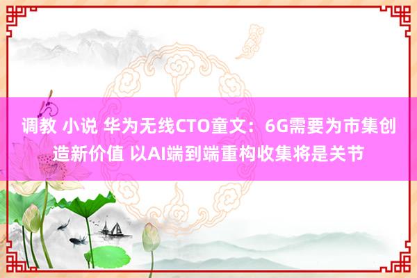 调教 小说 华为无线CTO童文：6G需要为市集创造新价值 以AI端到端重构收集将是关节