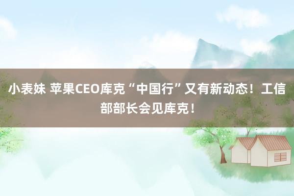 小表妹 苹果CEO库克“中国行”又有新动态！工信部部长会见库克！